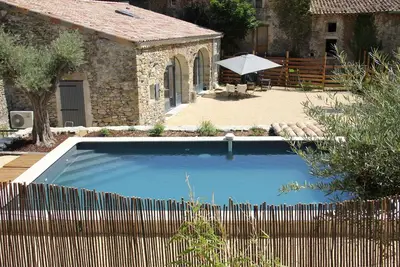 Image de Olive trees