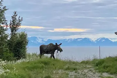 Image de 308 Moose Unit -  Kenai Minutes from downtown and two blocks to the Beach!