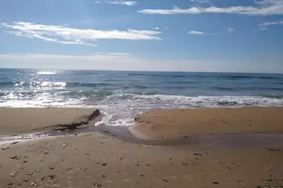 Image de Beautiful And Comfortable Studio Directly By The Sea