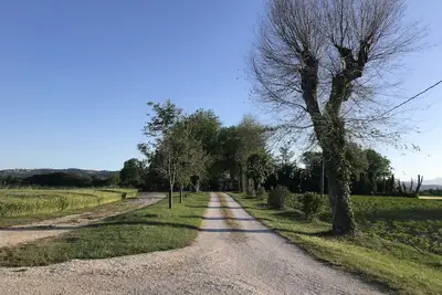 Image de Appartamento Fichi Immerso nel Verde Delle Colline Marchigiane