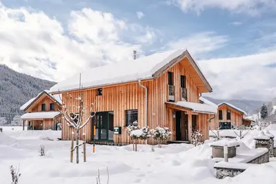 Vacation home for 8 guests with 100m² in Murau (158106)