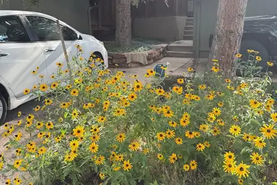 Image de Foothills of the Rockies