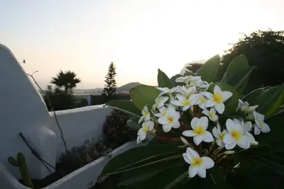 Image de Finca vacation. . . Also great for internet nomads