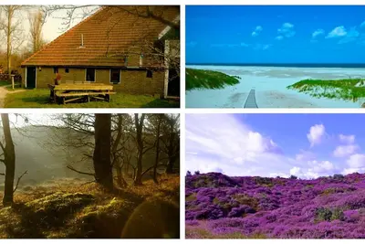 Image de Cottage \"Egypt\" on Terschelling