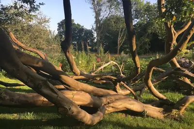 Image de Charme de la campagne à 5 km de la mer.