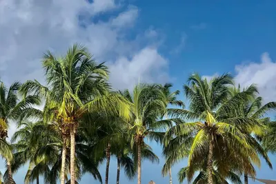 Image de Apartamento en club de playa privado
