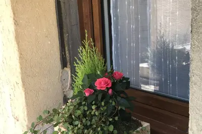 Image de À l’ombre du géant de Provence