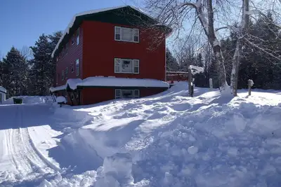 Image de Bear - unit 5