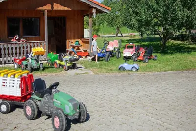 Image de Farm Bolzmacher - holiday apartment in the morning sun