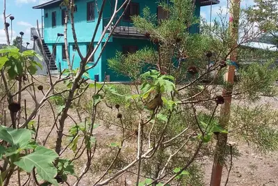 Image de Perpetual spring weather