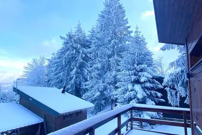Image de Chalet Au Milieu Des Sapins ENNEIGÉS