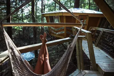 Image de The Looking Glass:  A Pair of Mirrored Treehouses