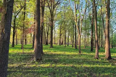 Image de Beautiful home near Branson, Mo & EurekaSprings, Ar.