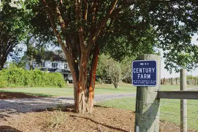 Image de Historic Farm House on 400 Acre Cattle Farm near Clemson, Sc