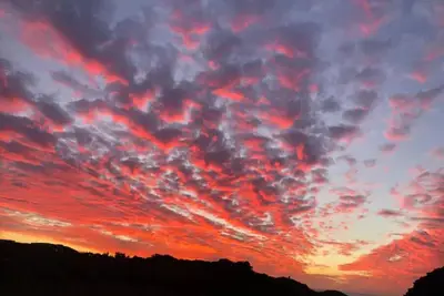 Image de A Peace of Nature