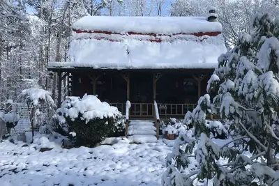 Image de Rustic Cabin trout fishing, dog loving, beach area on secluded 8. 5 acres! 001504