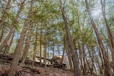 Image de Private Creekfront-fish-Kayaks, campfire, decks, well known trout stream, privacy