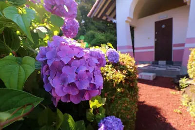 Image de Cactus Park Villa Villa with hot springs in a vi / Ito Shizuoka