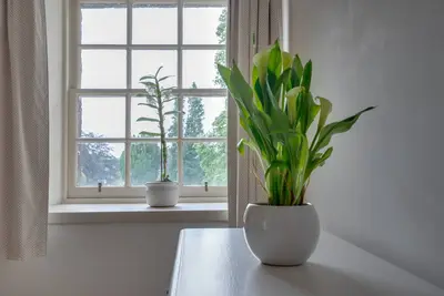 Image de Wallace Apartment