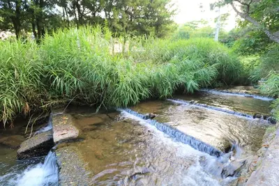 Image de Tiny house where the river of Izu flows / Ito Shizuoka