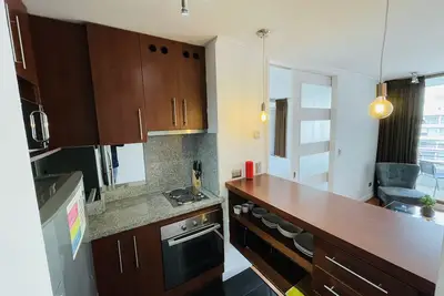 Image de Exclusive apartment in Providencia steps from the Metro