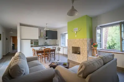 Image de The Nucci Mill Case