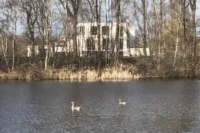 Image de A great, huge house on the water with 9 bedrooms.