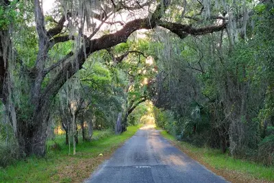 Image de Private St John's River town retreat