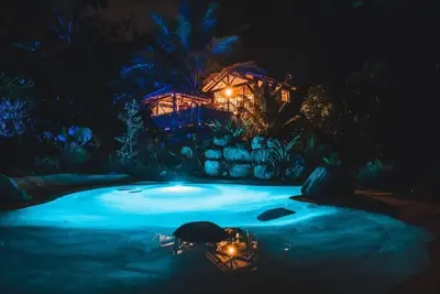 Image de West Indies Cottage ( le tiki / tiki tree house)