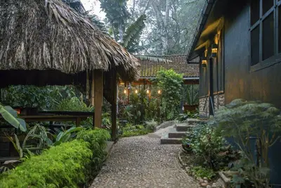 Image de Air-Conditioned Premium Room w/ Private Bathroom & Porch - Near Treehouse Bar