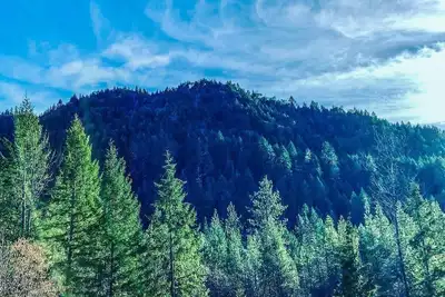 Image de Cozy Historic Cabin Near Hiking