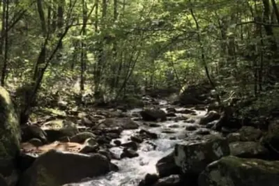 Image de Bunkhouse at English Mountain-Unlimited creek access-Farm Views