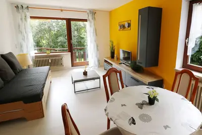 Image de Vacation apartment/apartment for 4 guests with 52m² in Höchenschwand (157780)