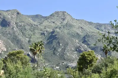 Image de Catalina Foothills Oasis