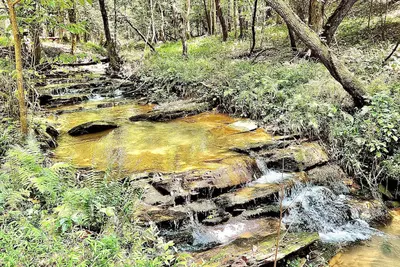 Image de Ky Creek Cabin on 2 acres. Creek, Fire pit and Awesome deck! Shared property