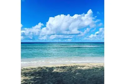 Image de Gone Coastal @ Pelican Cove