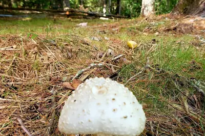 Image de Relaxation Or Remote Work In The Mountains!