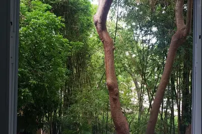 Image de Playacar Room Rent - Spacious - Ac - Big Windows - Close to beach - Pvt Bath