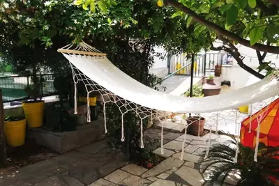 Image de Lemon Tree