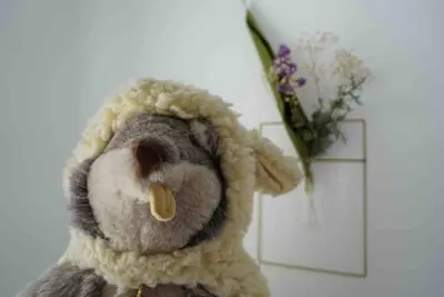 Image de It is a 2ldk hotel near the sea where the rising s / Kunigami-gun Okinawa