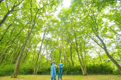 Image de Canadian traditional house brick house surrounded - Canadian Trad House / Nasu-gun Tochigi