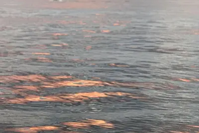 Image de Cozy Cottage on Lake Tippecanoe