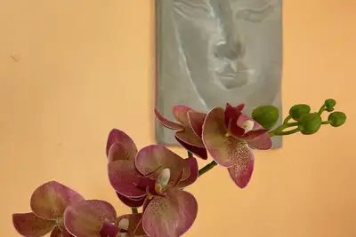 Image de Tranquil Songs of Paradise~ A home away from home to soothe and refresh souls! 😎