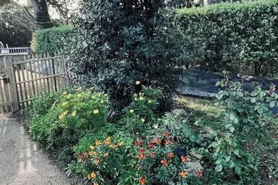 Image de <br>Ti Glas Maison - Maison - 4ch - jardin - Plage - commerces à pied