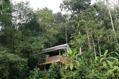 Image de IlliVilla Bamboo claded single room cottage inside Organic Spices Farm in Munnar