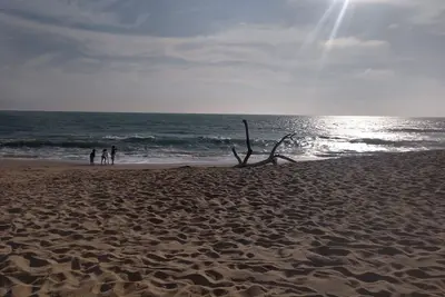 Image de Ocean Club