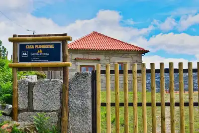 Image de \"Forest House\" in Branda da Bouça dos Homens