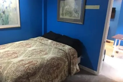 Image de Plantation row