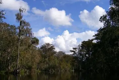 Image de A Great House to come Home to