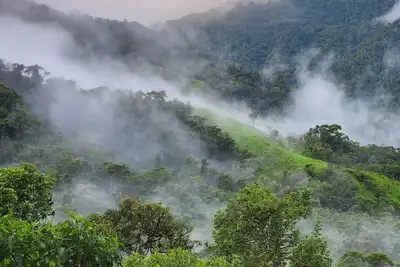 Image de Cloud forest retreat